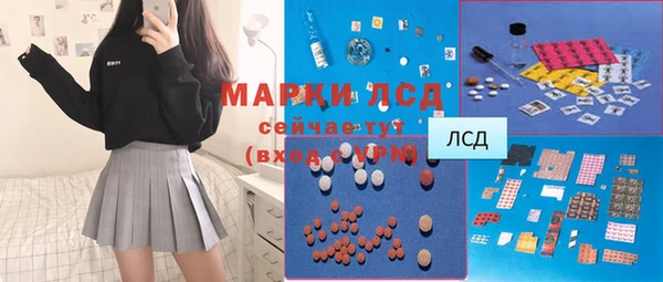 сатива Коряжма