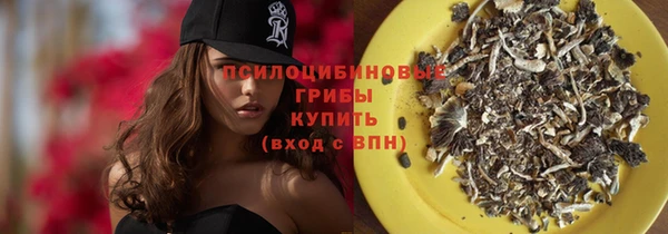 каннабис Корсаков