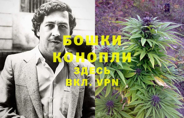 PSILOCYBIN Костерёво