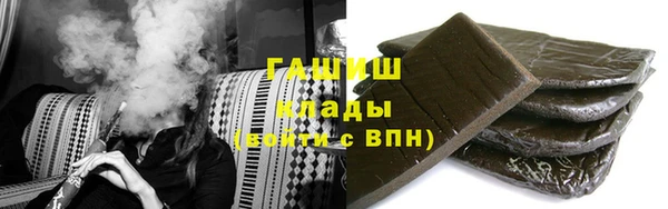 сатива Коряжма