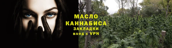 сатива Коряжма