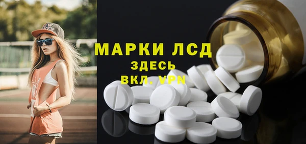 сатива Коряжма