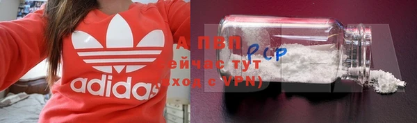 каннабис Корсаков