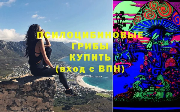 PSILOCYBIN Костерёво