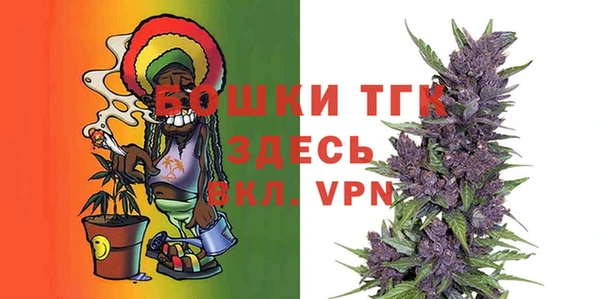PSILOCYBIN Костерёво