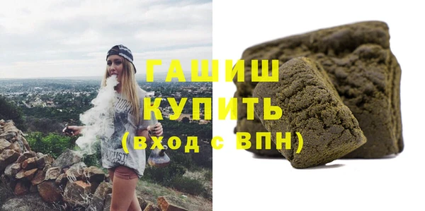 сатива Коряжма