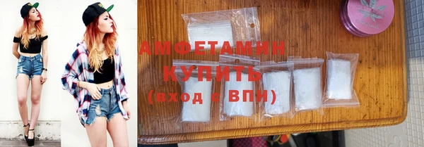 сатива Коряжма