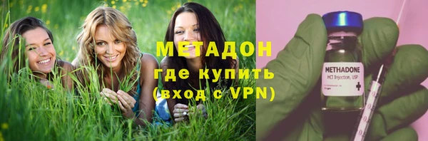 сатива Коряжма